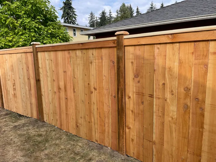 New six-foot cedar privacy fence with straight posts along a backyard