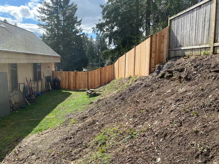 New cedar fence section along a yard, the kind of run we rebuild when repair no longer makes sense