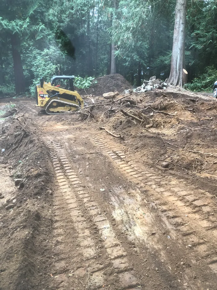 Compact track loader pushing brush and slash on a partially cleared wooded lot